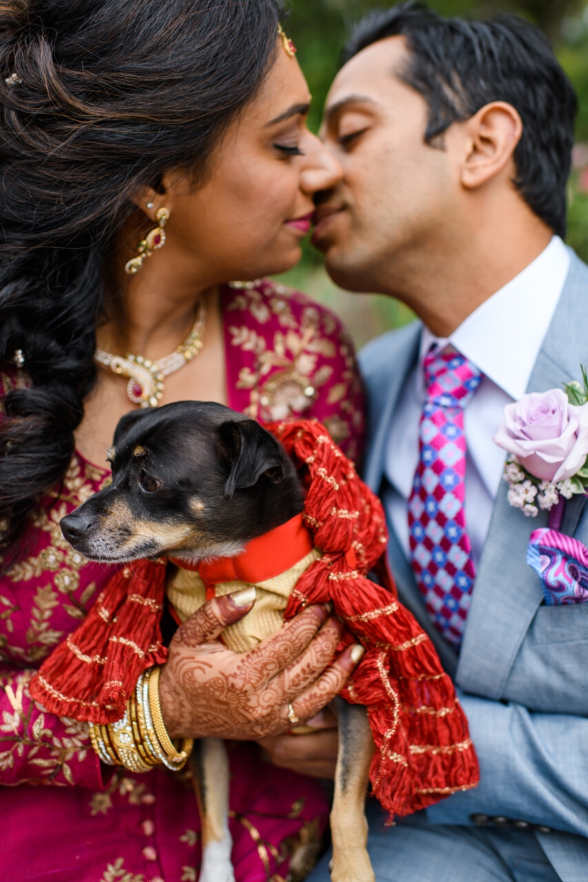 All the colors of this Indian wedding